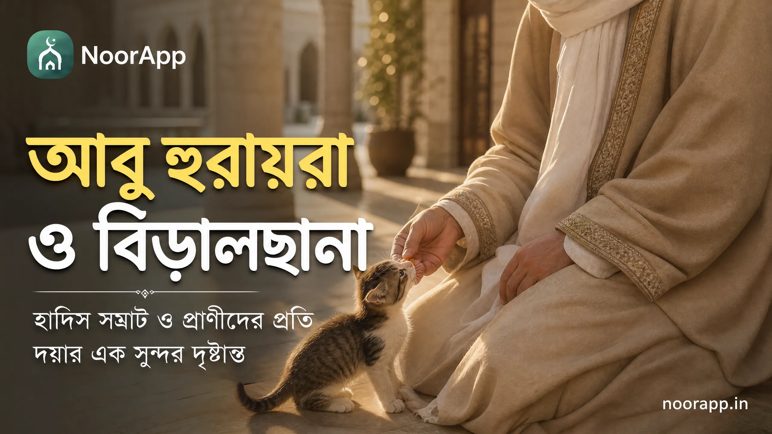 আবু হুরায়রা ও বিড়ালছানা: হাদিস সম্রাট ও প্রাণীদের প্রতি দয়ার এক সুন্দর দৃষ্টান্ত