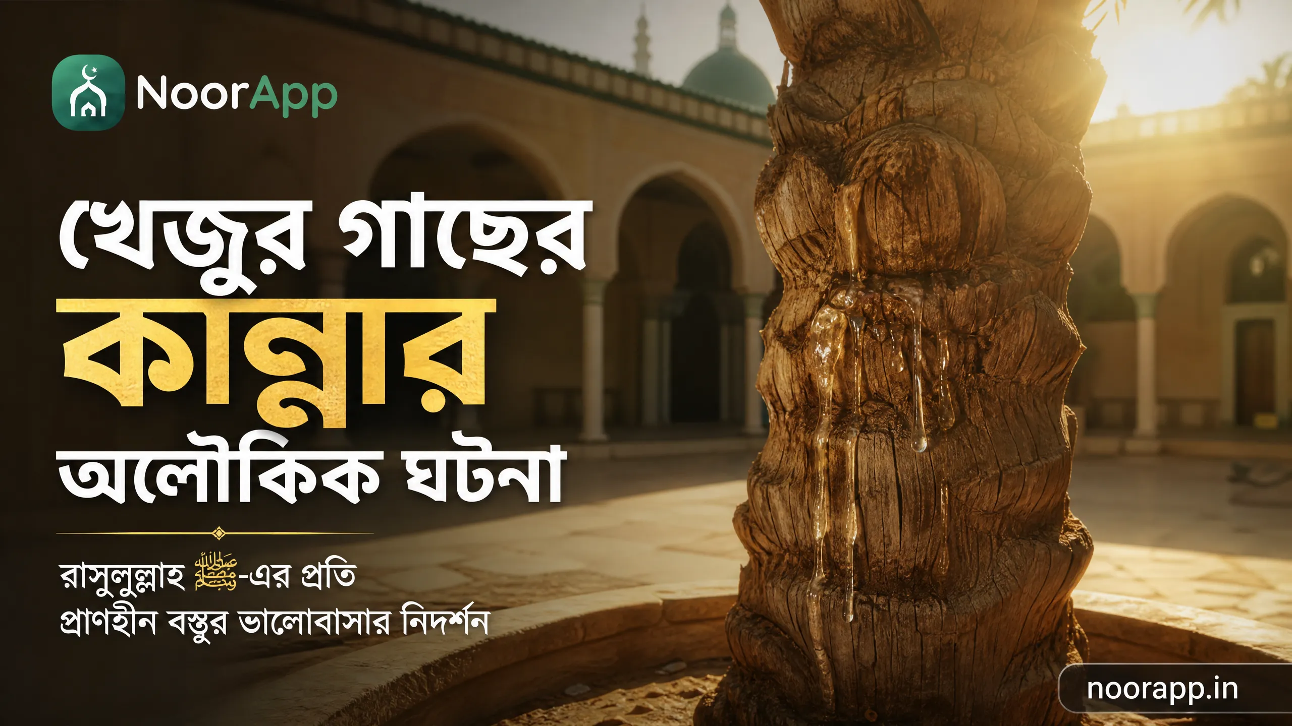 খেজুর গাছের কান্নার অলৌকিক ঘটনা: রাসুলুল্লাহ ﷺ-এর প্রতি প্রাণহীন বস্তুর ভালোবাসার নিদর্শন