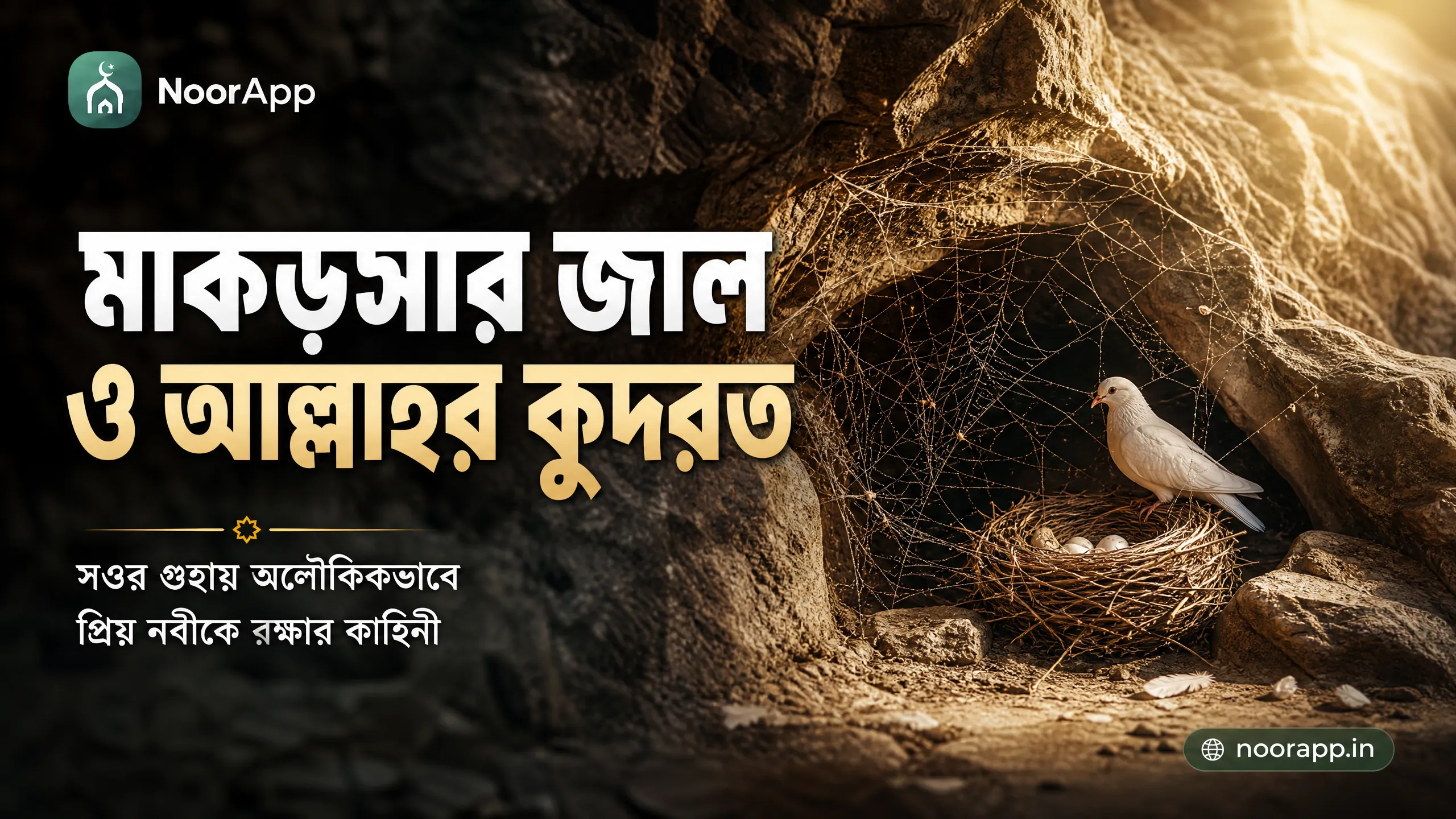 মাকড়সার জাল ও আল্লাহর কুদরত: সওর গুহায় অলৌকিকভাবে প্রিয় নবীকে রক্ষার কাহিনী